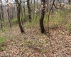 TBD Ooga Ooga Lane, Valley Grove, West Virginia 26060, ,Lots/land,For Sale,Ooga Ooga,10159076