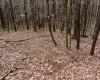 TBD Ooga Ooga Lane, Valley Grove, West Virginia 26060, ,Lots/land,For Sale,Ooga Ooga,10159076