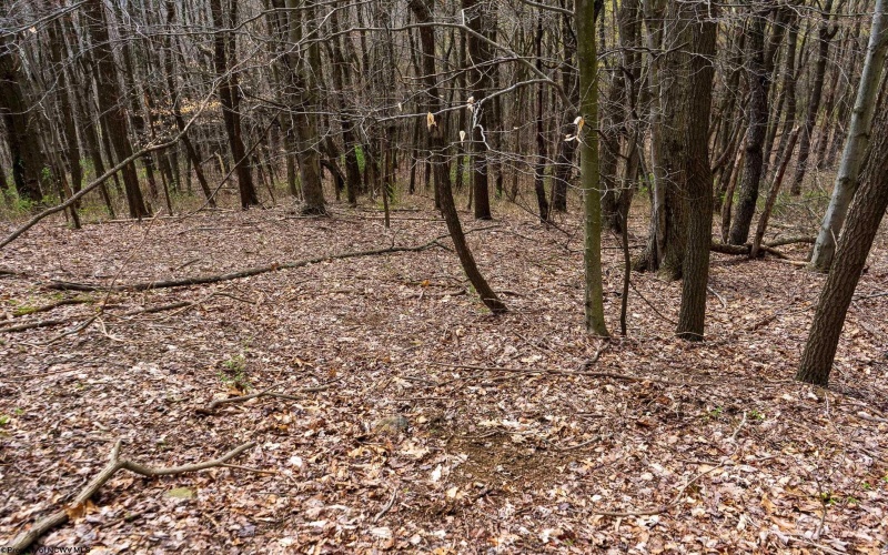 TBD Ooga Ooga Lane, Valley Grove, West Virginia 26060, ,Lots/land,For Sale,Ooga Ooga,10159076