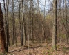 TBD Ooga Ooga Lane, Valley Grove, West Virginia 26060, ,Lots/land,For Sale,Ooga Ooga,10159076