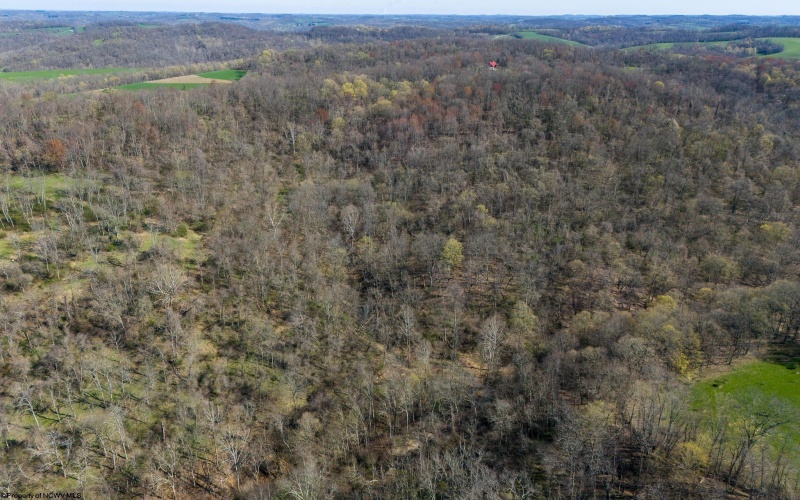 TBD Ooga Ooga Lane, Valley Grove, West Virginia 26060, ,Lots/land,For Sale,Ooga Ooga,10159076