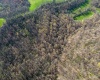 TBD Ooga Ooga Lane, Valley Grove, West Virginia 26060, ,Lots/land,For Sale,Ooga Ooga,10159076