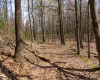 TBD Ooga Ooga Lane, Valley Grove, West Virginia 26060, ,Lots/land,For Sale,Ooga Ooga,10159076
