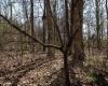 TBD Ooga Ooga Lane, Valley Grove, West Virginia 26060, ,Lots/land,For Sale,Ooga Ooga,10159076