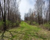TBD Ooga Ooga Lane, Valley Grove, West Virginia 26060, ,Lots/land,For Sale,Ooga Ooga,10159076