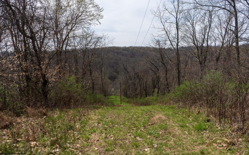 TBD Ooga Ooga Lane, Valley Grove, West Virginia 26060, ,Lots/land,For Sale,Ooga Ooga,10159076