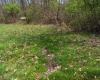 TBD Ooga Ooga Lane, Valley Grove, West Virginia 26060, ,Lots/land,For Sale,Ooga Ooga,10159076