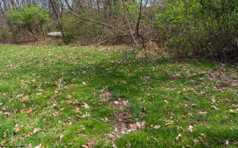 TBD Ooga Ooga Lane, Valley Grove, West Virginia 26060, ,Lots/land,For Sale,Ooga Ooga,10159076