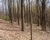 TBD Ooga Ooga Lane, Valley Grove, West Virginia 26060, ,Lots/land,For Sale,Ooga Ooga,10159076