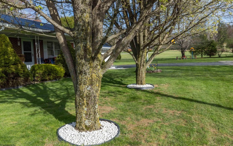 43 Greentree Lane, Elkins, West Virginia 26241, 3 Bedrooms Bedrooms, 9 Rooms Rooms,1 BathroomBathrooms,Single Family Detached,For Sale,Greentree,10159067