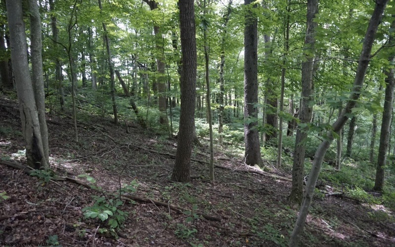 5309 Fairmont Road, Rivesville, West Virginia 26588, 3 Bedrooms Bedrooms, 7 Rooms Rooms,1 BathroomBathrooms,Single Family Detached,For Sale,Fairmont,10159086