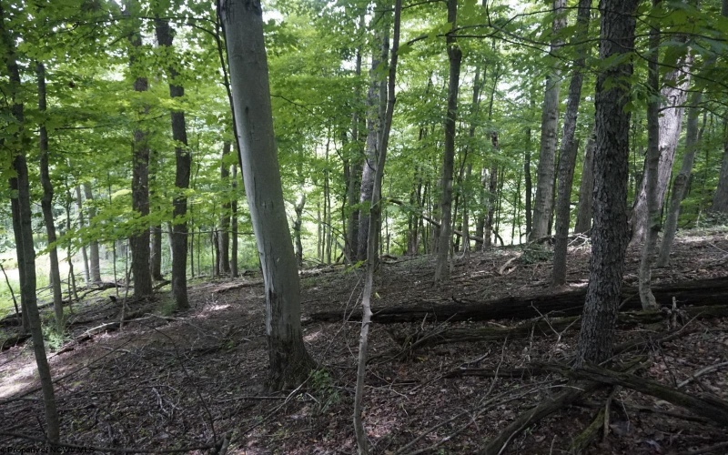 5309 Fairmont Road, Rivesville, West Virginia 26588, 3 Bedrooms Bedrooms, 7 Rooms Rooms,1 BathroomBathrooms,Single Family Detached,For Sale,Fairmont,10159086