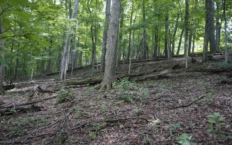 5309 Fairmont Road, Rivesville, West Virginia 26588, 3 Bedrooms Bedrooms, 7 Rooms Rooms,1 BathroomBathrooms,Single Family Detached,For Sale,Fairmont,10159086