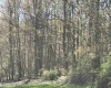 TBD Silent Grove Road, Philippi, West Virginia 26416, ,Lots/land,For Sale,Silent Grove,10159108