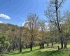 TBD Silent Grove Road, Philippi, West Virginia 26416, ,Lots/land,For Sale,Silent Grove,10159108