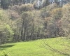 TBD Silent Grove Road, Philippi, West Virginia 26416, ,Lots/land,For Sale,Silent Grove,10159108