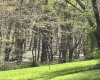 TBD Silent Grove Road, Philippi, West Virginia 26416, ,Lots/land,For Sale,Silent Grove,10159108