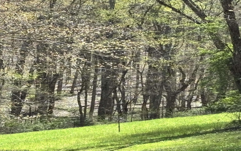 TBD Silent Grove Road, Philippi, West Virginia 26416, ,Lots/land,For Sale,Silent Grove,10159108