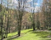 TBD Silent Grove Road, Philippi, West Virginia 26416, ,Lots/land,For Sale,Silent Grove,10159108