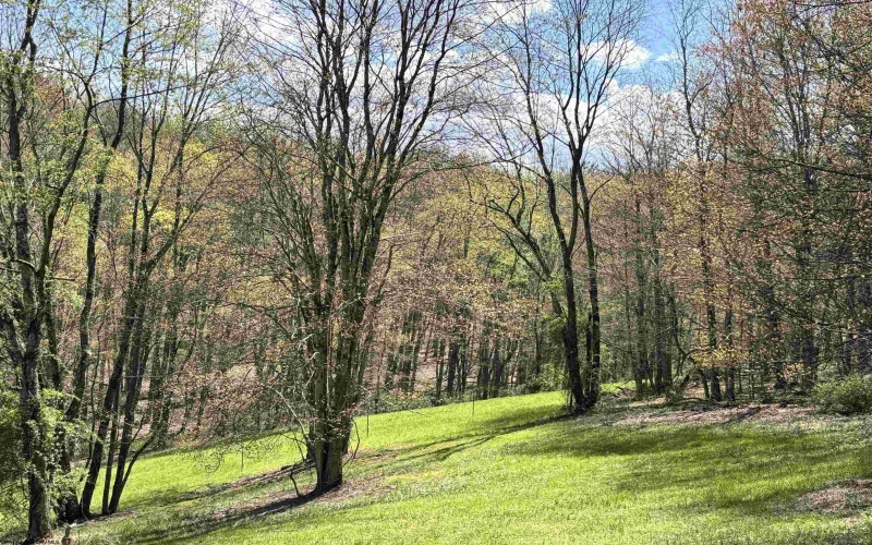 TBD Silent Grove Road, Philippi, West Virginia 26416, ,Lots/land,For Sale,Silent Grove,10159108