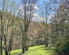 TBD Silent Grove Road, Philippi, West Virginia 26416, ,Lots/land,For Sale,Silent Grove,10159108