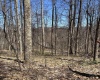 TBD Silent Grove Road, Philippi, West Virginia 26416, ,Lots/land,For Sale,Silent Grove,10159108