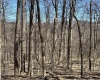 TBD Silent Grove Road, Philippi, West Virginia 26416, ,Lots/land,For Sale,Silent Grove,10159108