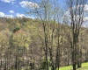 TBD Silent Grove Road, Philippi, West Virginia 26416, ,Lots/land,For Sale,Silent Grove,10159108
