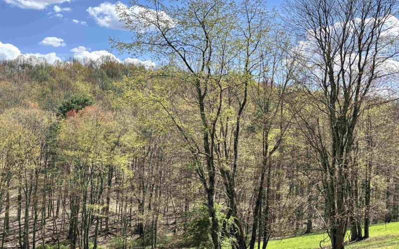 TBD Silent Grove Road, Philippi, West Virginia 26416, ,Lots/land,For Sale,Silent Grove,10159108