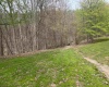 TBD Gaston Manor Road, Jane Lew, West Virginia 26378, ,Lots/land,For Sale,Gaston Manor,10159097
