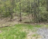 TBD Gaston Manor Road, Jane Lew, West Virginia 26378, ,Lots/land,For Sale,Gaston Manor,10159097