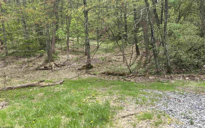 TBD Gaston Manor Road, Jane Lew, West Virginia 26378, ,Lots/land,For Sale,Gaston Manor,10159097