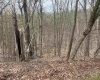 TBD Gaston Manor Road, Jane Lew, West Virginia 26378, ,Lots/land,For Sale,Gaston Manor,10159097