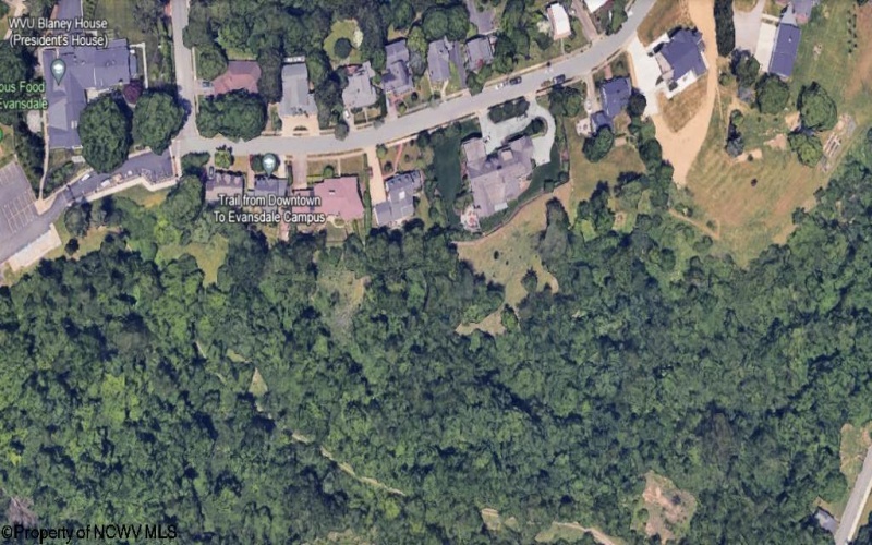 321 8th Street, Morgantown, West Virginia 26505, ,Lots/land,For Sale,8th,10159106
