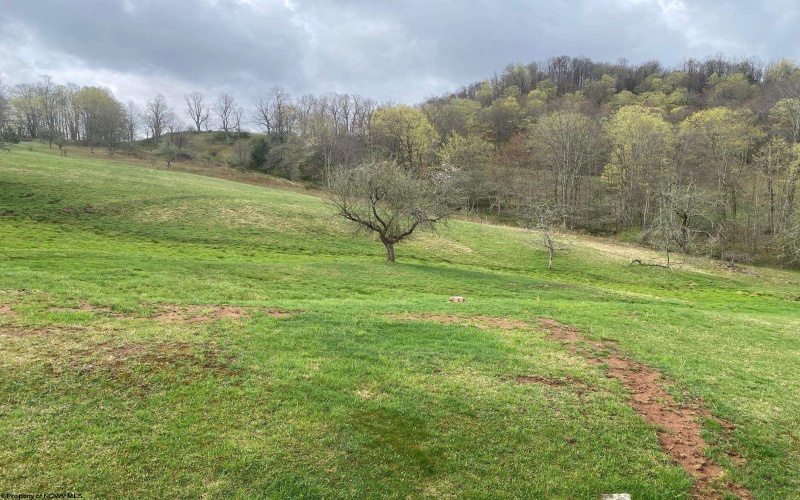 8118 Bemis Road, Bowden, West Virginia 26254, 2 Bedrooms Bedrooms, 3 Rooms Rooms,1 BathroomBathrooms,Single Family Detached,For Sale,Bemis,10159096