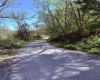 258 Bessie Ann Hill Road, Farmington, West Virginia 26571, ,Lots/land,For Sale,Bessie Ann Hill,10159130