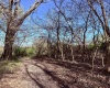 258 Bessie Ann Hill Road, Farmington, West Virginia 26571, ,Lots/land,For Sale,Bessie Ann Hill,10159130