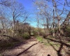 258 Bessie Ann Hill Road, Farmington, West Virginia 26571, ,Lots/land,For Sale,Bessie Ann Hill,10159130