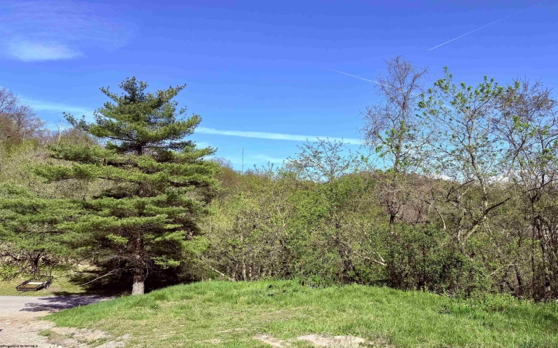 258 Bessie Ann Hill Road, Farmington, West Virginia 26571, ,Lots/land,For Sale,Bessie Ann Hill,10159130