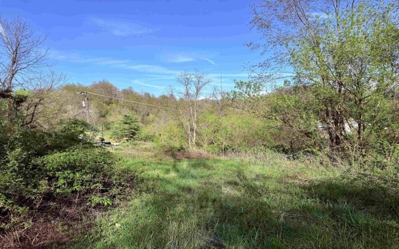 258 Bessie Ann Hill Road, Farmington, West Virginia 26571, ,Lots/land,For Sale,Bessie Ann Hill,10159130