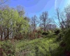 258 Bessie Ann Hill Road, Farmington, West Virginia 26571, ,Lots/land,For Sale,Bessie Ann Hill,10159130