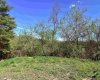 258 Bessie Ann Hill Road, Farmington, West Virginia 26571, ,Lots/land,For Sale,Bessie Ann Hill,10159130