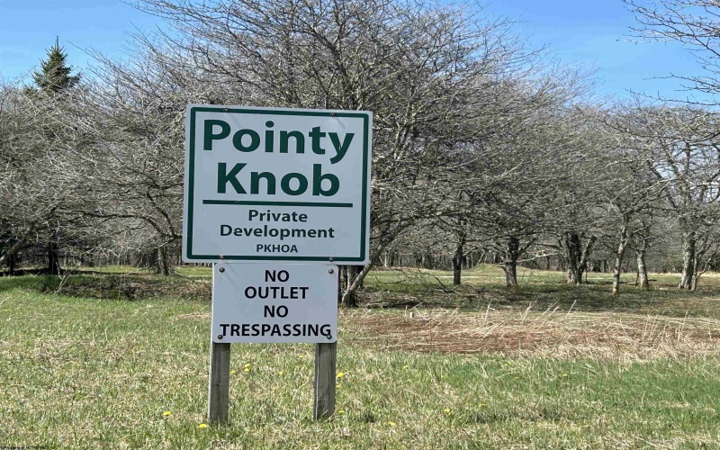 Lot 2 Pointy Knob Road, Davis, West Virginia 26260, ,Lots/land,For Sale,Pointy Knob,10159134