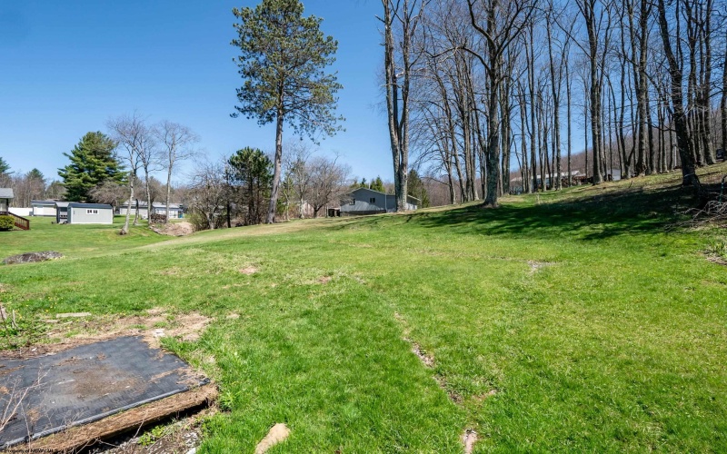 330 Buxton Street, Thomas, West Virginia 26292, 3 Bedrooms Bedrooms, 7 Rooms Rooms,1 BathroomBathrooms,Single Family Detached,For Sale,Buxton,10159122