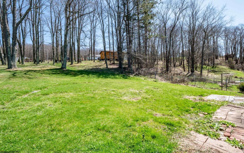 330 Buxton Street, Thomas, West Virginia 26292, 3 Bedrooms Bedrooms, 7 Rooms Rooms,1 BathroomBathrooms,Single Family Detached,For Sale,Buxton,10159122