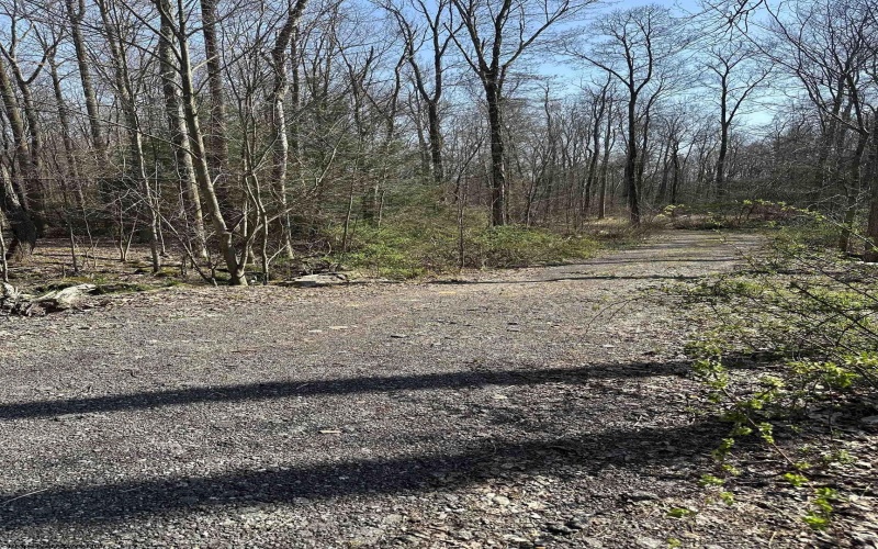 Lots 21&22 Belgian Estates, Bruceton Mills, West Virginia 26525, ,Lots/land,For Sale,Belgian,10159158