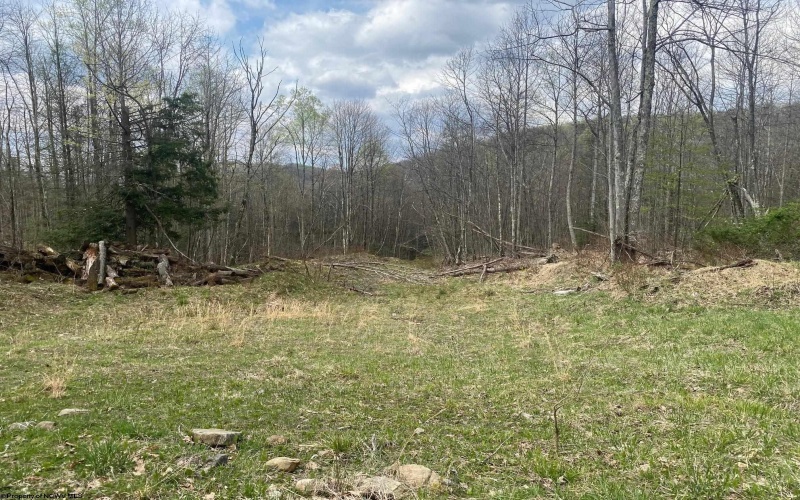 TBD Prison Mine Road, Mill Creek, West Virginia 26280, ,Lots/land,For Sale,Prison Mine,10159214