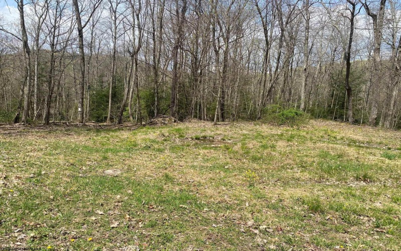 TBD Prison Mine Road, Mill Creek, West Virginia 26280, ,Lots/land,For Sale,Prison Mine,10159214