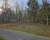 Lot 12 Trailwood Circle, Bruceton Mills, West Virginia 26525, ,Lots/land,For Sale,Trailwood,10159211