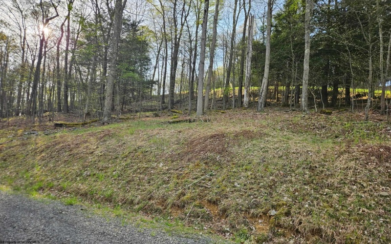 Lot 12 Trailwood Circle, Bruceton Mills, West Virginia 26525, ,Lots/land,For Sale,Trailwood,10159211